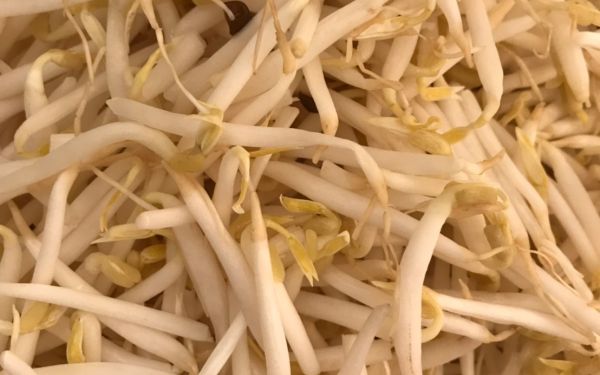 (23-04-63) แจกข้าวกล่องให้กับผู้ประสบภัยโควิด-19_(7)