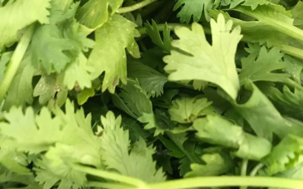 (30-04-63) แจกข้าวกล่องให้กับผู้ประสบภัยโควิด-19_(12)