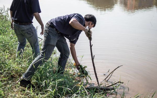 23-11-61 วิศวฯบำเพ็ญ : เก็บกระทง ณ ริมน้ำปิง